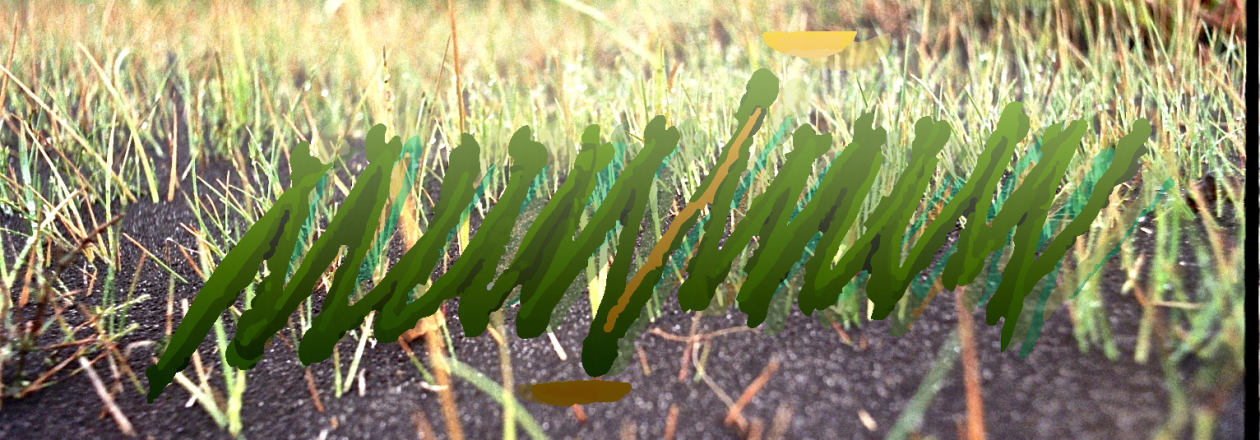 MuninuM